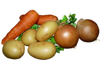 Картофель резко потерял в цене: названы причины - agroportal.ua - Украина