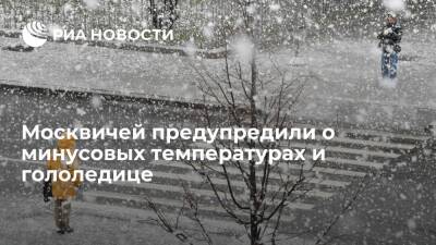 Синоптик Тишковец: в Москве в воскресенье ожидаются дожди с мокрым снегом