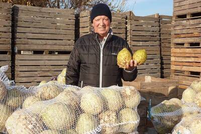 Украинские фермеры заинтересовались овощем, который может вытеснить картофель из наших огородов