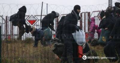 Миграционный кризис: Польша поймала Беларусь на переброске силовиков к границе - видео