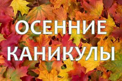 В Ульяновской области заканчиваются осенние каникулы. Что делать школьникам 15 ноября
