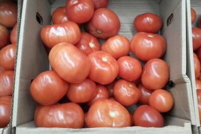 Саратовские магазины подняли стоимость помидоров до 500 рублей