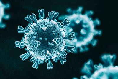 Количество зараженных коронавирусом в Смоленской области превысило 70 тысяч человек