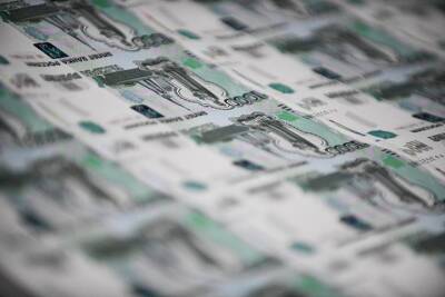 В Счетной палате оценили состояние российского госдолга