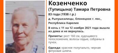 В Олонецком районе Карелии потерялась 83-летняя бабушка в красном полупальто