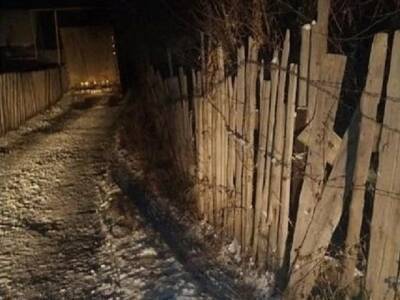 В Челябинской области грузовик сбил пятерых детей