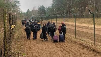 Стало известно, в какие немецкие города отправят мигрантов на белорусско-польской границе
