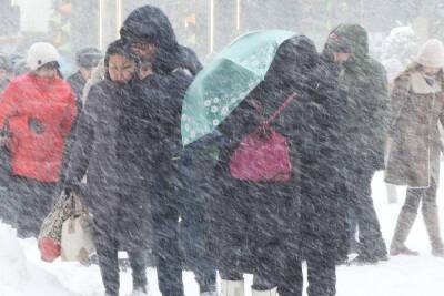 Синоптики назвали самый снежный день в Москве на следующей неделе