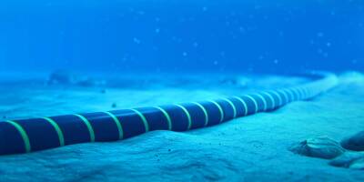 Россию обвинили в повреждении подводных кабелей у побережья Норвегии