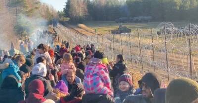 Границу Беларуси с Польшей удалось пересечь 50 нелегальным мигрантам