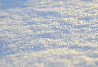 Небольшой мокрый снег ожидает жителей Ленобласти 15 ноября