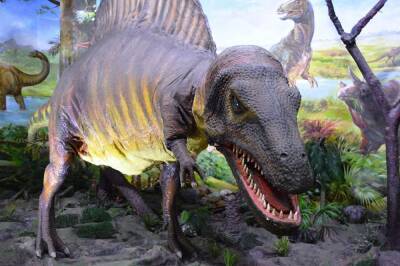 Ученые: Считавшийся плотоядным динозавр Eubrontes оказался "вегетарианцем"