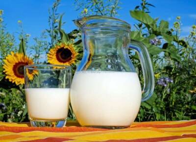Хронобиолог Манукян рекомендовала исключить молоко во время интервального голодания