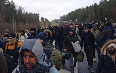 Польша сообщила о 223 попытках прорыва границы мигрантами за сутки и мира