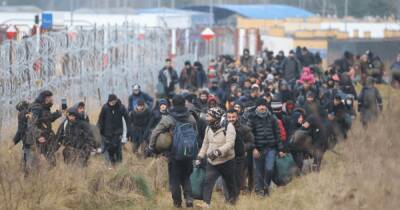 Мигранты и белорусские военные бросают камни в польских пограничников — Минобороны Польши