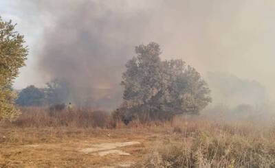 Пожар в лесу Шоам привел к задержке рейсов в аэропорту Бен-Гурион