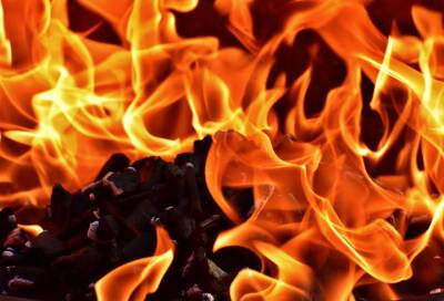 Пожарные спасли пять человек из горящей квартиры в Кировском районе