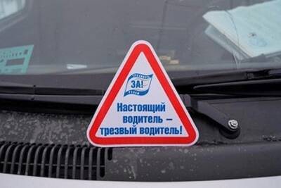 На Тенистой улице в Смоленской области остановили нетрезвого водителя из Москвы