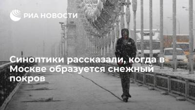 Синоптик Тишковец: устойчивый снежный покров в Москве образуется к следующим выходным