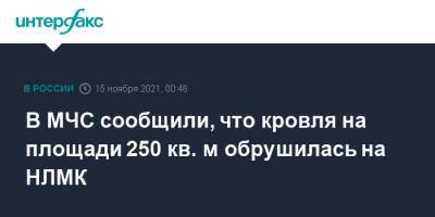 Денис Коротков - В МЧС сообщили, что кровля на площади 250 кв. м обрушилась на НЛМК - interfax.ru - Москва - Липецк