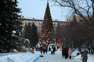 В мэрии назвали дату начала монтажа главной новогодней ёлки Новосибирска