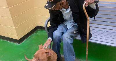 Ветерану, потерявшему пса при перестрелке, подарили нового щенка