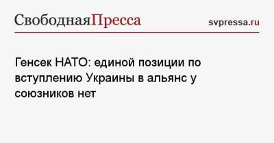 Генсек НАТО: единой позиции по вступлению Украины в альянс у союзников нет