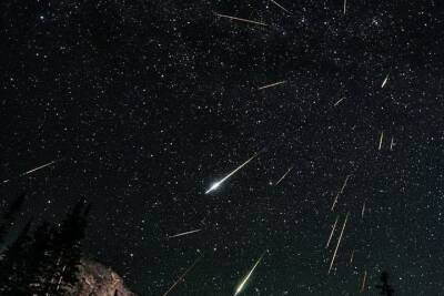 Масштабный дождь из метеоритов смогут увидеть жители Омска