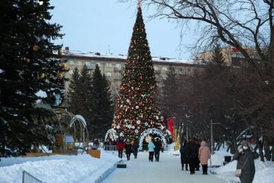 Главную елку Новосибирска установят к 1 декабря