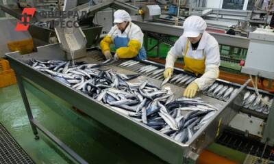 В Хабаровском крае заявили о дефиците рыбы