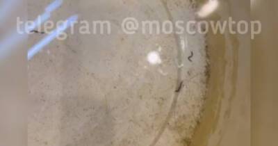 Жители Подмосковья обнаружили в воде паразитов
