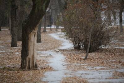 В Волгоградской области 15 ноября ожидаются снег с дождем и ветер