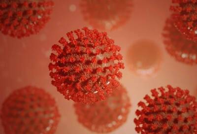 Ученые обнаружили антитела к коронавирусу у 83% взрослых жителей Петербурга