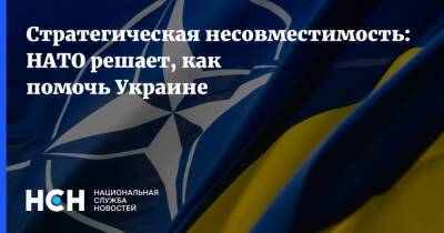 Стратегическая несовместимость: НАТО решает, как помочь Украине