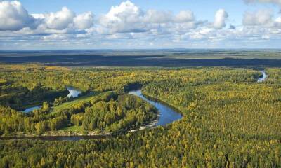 NE: 7000 карстовых воронок в вечной мерзлоте Сибири являются «зловещим предзнаменованием»