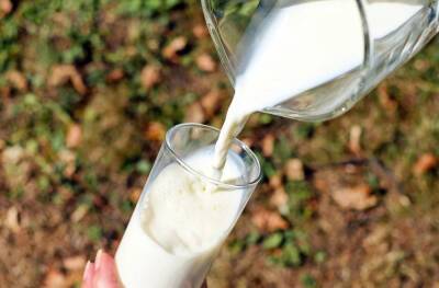 Эксперты назвали самый дорогой город Башкирии по ценам на молоко