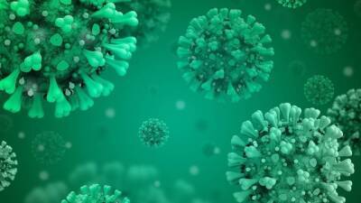 Инфекционист Жемчугов заявил о трех сценариях развития коронавирусной инфекции