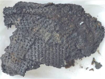 Древнейшая ткань оказалась сделанной из волокон дуба