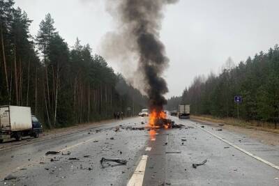 Опубликовали подробности жуткого ДТП в Тверской области, где сгорел водитель