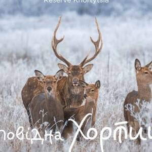 Запорожский фотохудожник представит календарь со снимками Хортицы