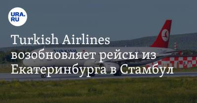 Turkish Airlines возобновляет рейсы из Екатеринбурга в Стамбул