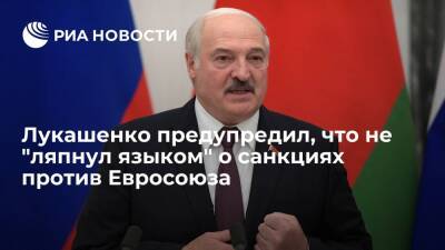 Лукашенко подчеркнул серьезность намерений жестко ответить на санкции Евросоюза