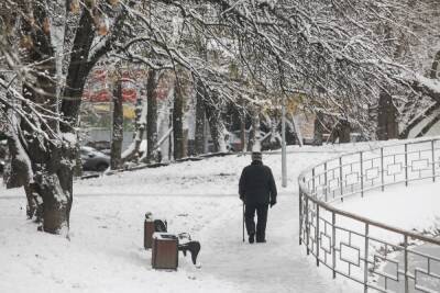 В Москве к концу ноября ожидаются морозы до -19