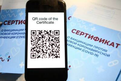 Введение в России QR-кодов стало плацдармом для ресентимента — социологи