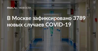 В Москве зафиксировано 3789 новых случаев COVID-19