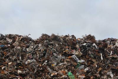 Вторичная переработка отходов: какой мусор следует сортировать и где сдавать его в Ленобласти?