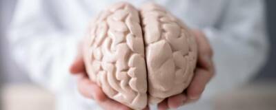 Неврологи разработали приложение для самодиагностики сотрясения мозга