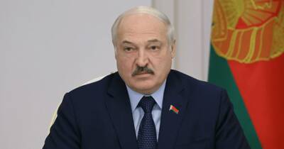 "Вывезем своими самолетами". Лукашенко предложил отправить беженцев в Мюнхен