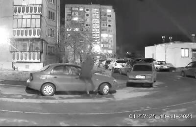 В Липецке подросток выломал зеркало у припаркованной машины (видео)