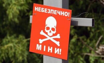 Китайские читатели: Украина сама себе вырыла могилу! (Гуаньча)